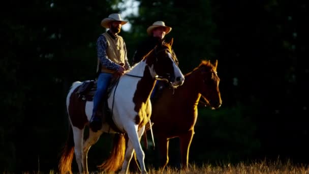 Cowboy-Fahrer auf Geck-Ranch - Filmmaterial, Video