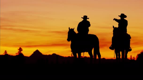 Cowboy renners in de woestijn bij de zonsondergang - Video