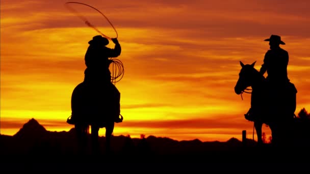 Cowboy Riders in wilderness at the sunset - Footage, Video
