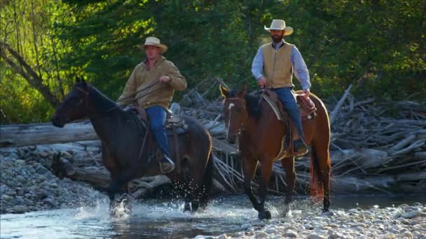 Riders on horses walking in the river  - Footage, Video