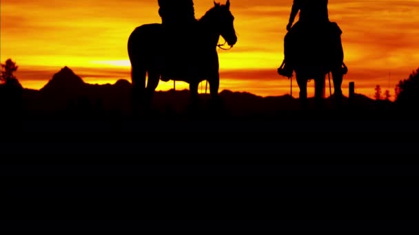 Cowboy jeźdźców pustyni o zachodzie słońca - Materiał filmowy, wideo