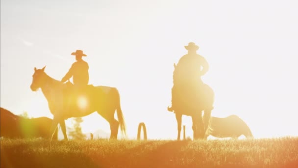 Cowboy Ratsastajat erämaassa auringonlaskun aikaan
 - Materiaali, video