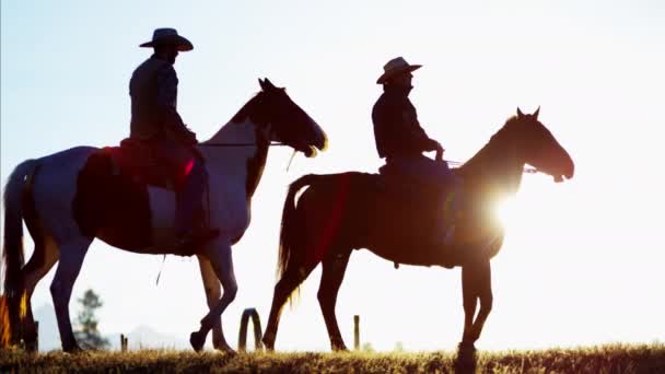 Cowboy Ratsastajat metsässä auringonlaskun aikaan
 - Materiaali, video