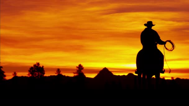 Cowboy-Fahrer in der Wildnis - Filmmaterial, Video