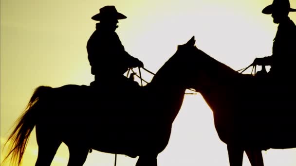 Cowboy Jinetes en el área silvestre del bosque
 - Metraje, vídeo