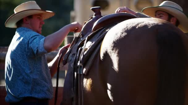 Cowboys in corral saddling horse - Footage, Video