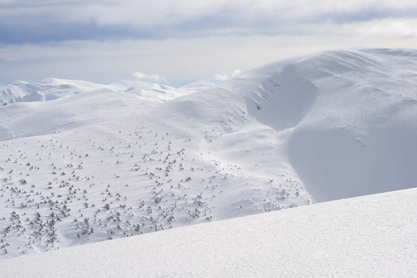 Зима на склоне холма в горном пейзаже
 - Фото, изображение