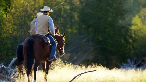 Renners op paarden in de Rocky mountains - Video