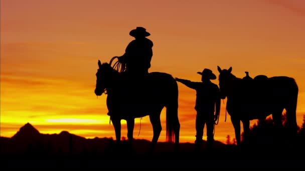 Καουμπόη αναβάτες στην έρημο στο ηλιοβασίλεμα - Πλάνα, βίντεο