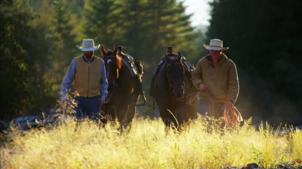 Lovakkal sétáló cowboyok - Felvétel, videó
