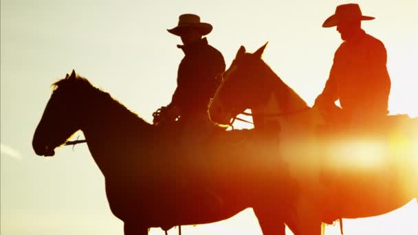 Cowboy jeźdźców w Puszczy - Materiał filmowy, wideo