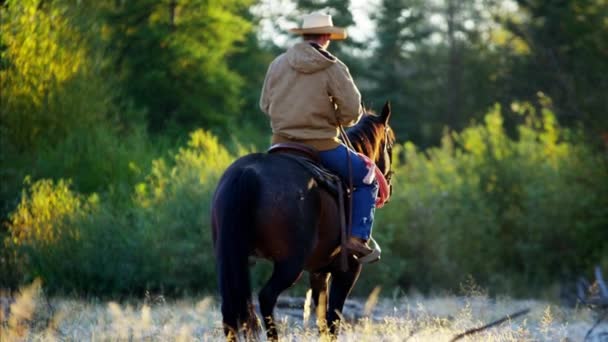 Cowboys Montando cavalos no rio
  - Filmagem, Vídeo