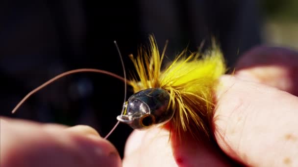Handmade dry fly made by fisherman - Footage, Video