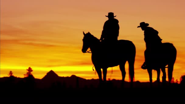 Cowboy-Fahrer in der Wildnis bei Sonnenuntergang - Filmmaterial, Video