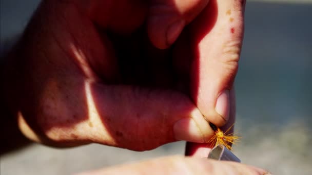 Cebo mosca seca hecha a mano por el pescador
  - Imágenes, Vídeo