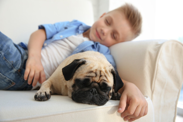 boy with pug dog on couch - Φωτογραφία, εικόνα