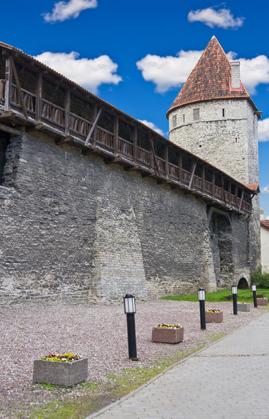 Old city wall and tower in Tallinn, Estonia - Zdjęcie, obraz