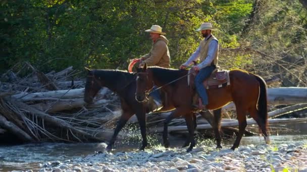 Cowboys Riding horses in the river  - Footage, Video