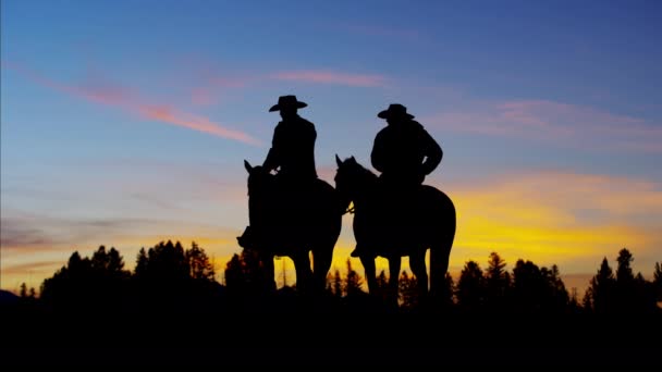 Cowboy renners in de woestijn bij de zonsopgang - Video