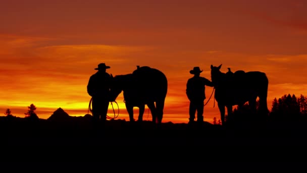 Cowboy lovasok vadnyugat területen a naplementekor - Felvétel, videó