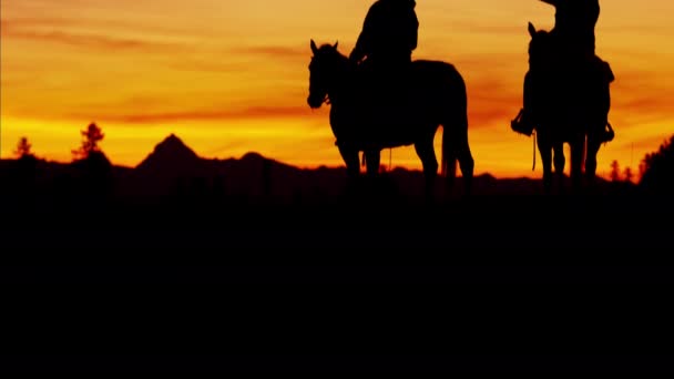 Kovboj jezdci v divočině na západ slunce - Záběry, video