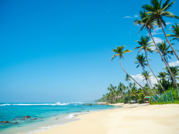 Trópusi strand - Fotó, kép