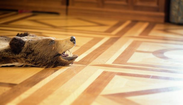 urso de pelúcia no chão
 - Foto, Imagem
