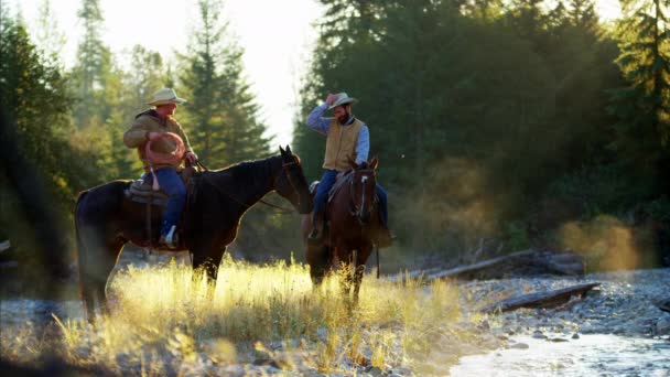 川で馬に乗るカウボーイ  - 映像、動画