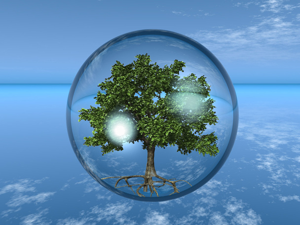 Baum in transparenter Blase - Foto, Bild