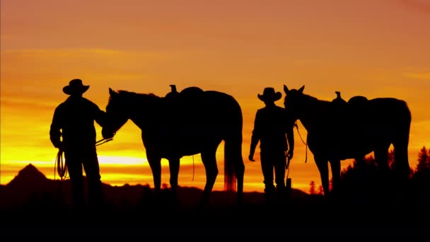 Cowboy renners in wildernis-bosgebied - Video
