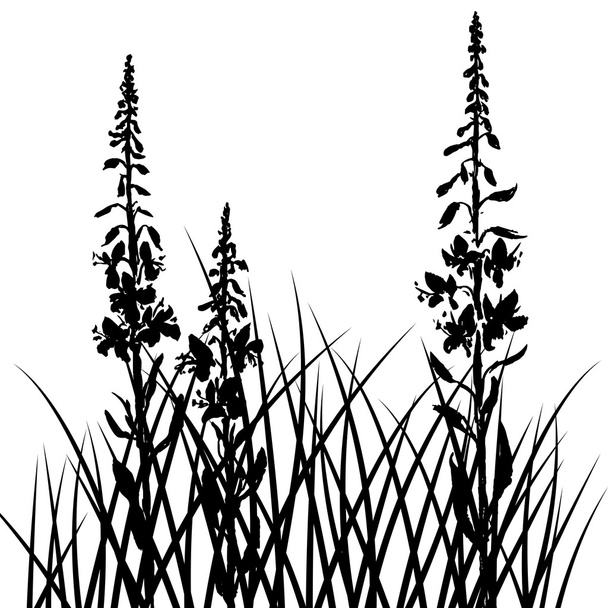 vector silhouettes of flowers and grass - Vector, Imagen
