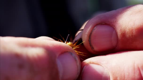Dry fly bait handmade by fisherman  - Footage, Video