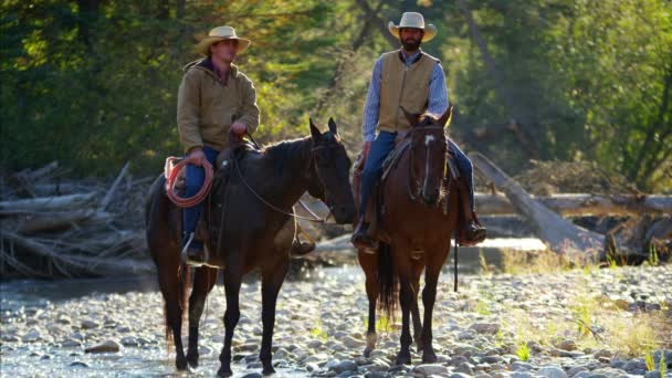 Cowboys hátaslovak, a folyó  - Felvétel, videó