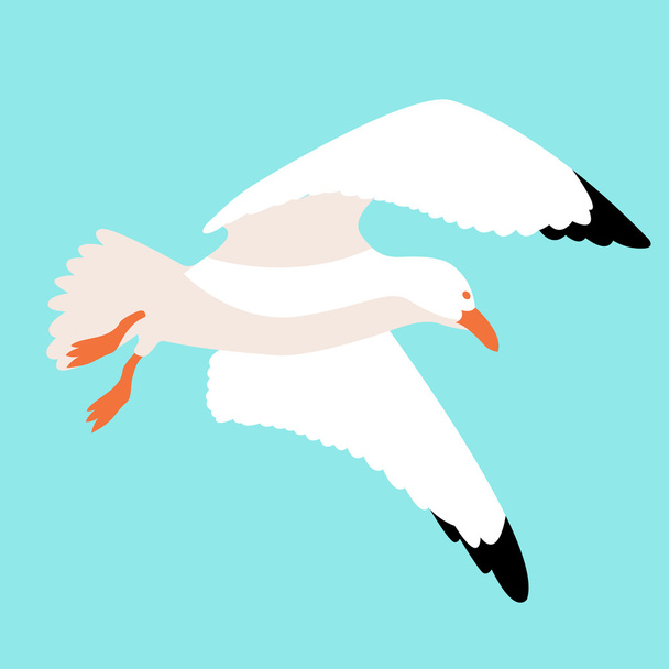 seagull in flight vector style Flat - Vector, Image