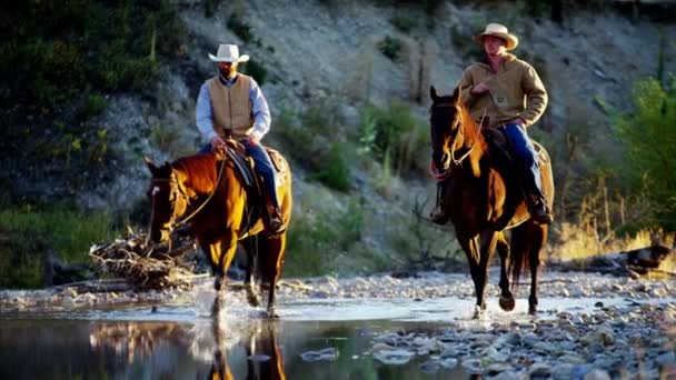 Reiter auf Pferden, die im Fluss gehen  - Filmmaterial, Video