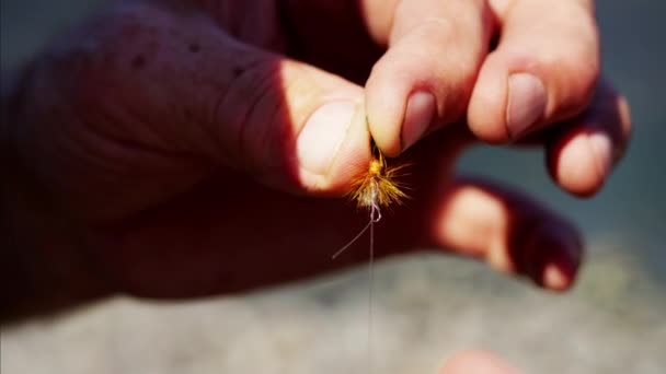 Χειροποίητο στεγνό fly από ψαρά - Πλάνα, βίντεο