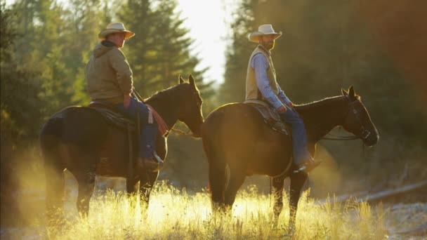 Renners op paarden in de Rocky mountains - Video