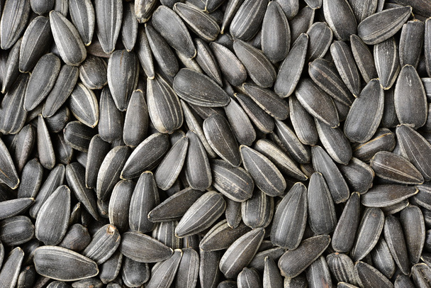 Black sunflower seeds. For texture  - Photo, image