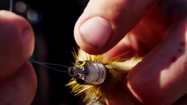 Στεγνό fly δόλωμα χειροποίητα από ψαρά  - Πλάνα, βίντεο