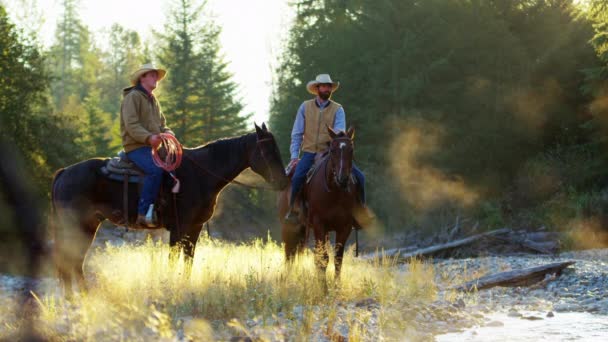Cowboys rijden van paarden in de rivier  - Video
