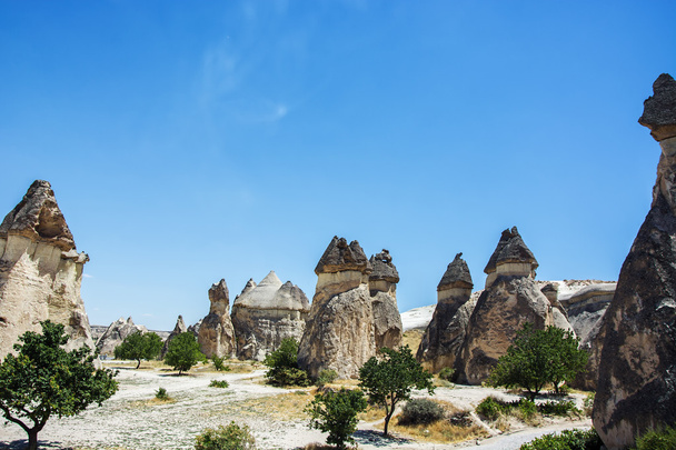 the mushroom shaped fairy chimneys,monks valley,(cappadocia,Turkey) - Zdjęcie, obraz