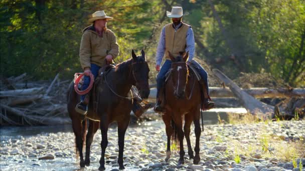 Cowboys rijden van paarden in de rivier  - Video