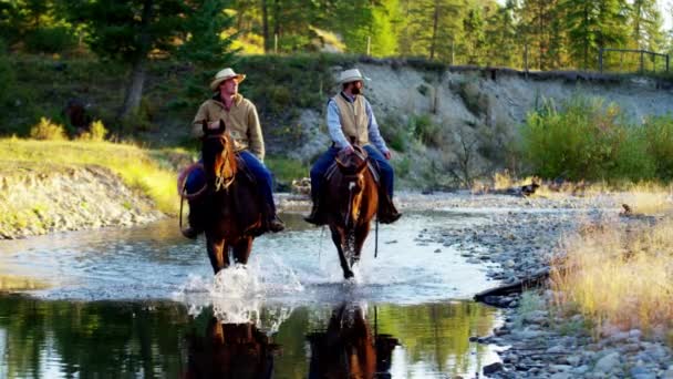 Cowboys Riding horses in the river  - Footage, Video