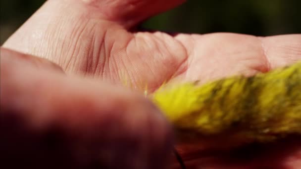 Cebo mosca seca hecha a mano por el pescador
  - Imágenes, Vídeo