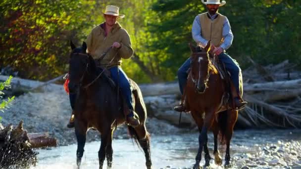 Cavaliers à cheval marchant dans la rivière
  - Séquence, vidéo