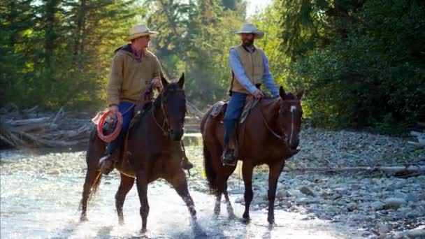 Cavaleiros em cavalos caminhando no rio
  - Filmagem, Vídeo