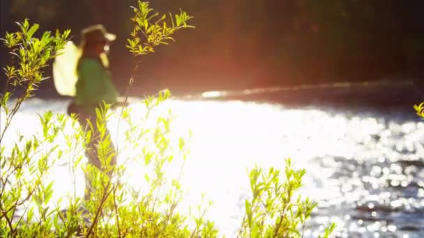 Weibliche Wurfanlage im Süßwasserfluss - Filmmaterial, Video