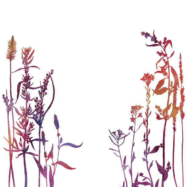silhouettes of flowers and grass - Foto, Imagem