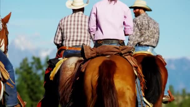 cowboyok és cowgirls, lovaglás, lovak - Felvétel, videó