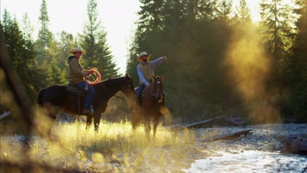 Reiter auf Pferden im Tal - Filmmaterial, Video